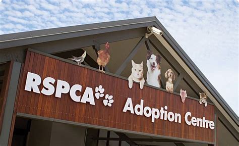 rspca shop near me|animal rescue centres near me.